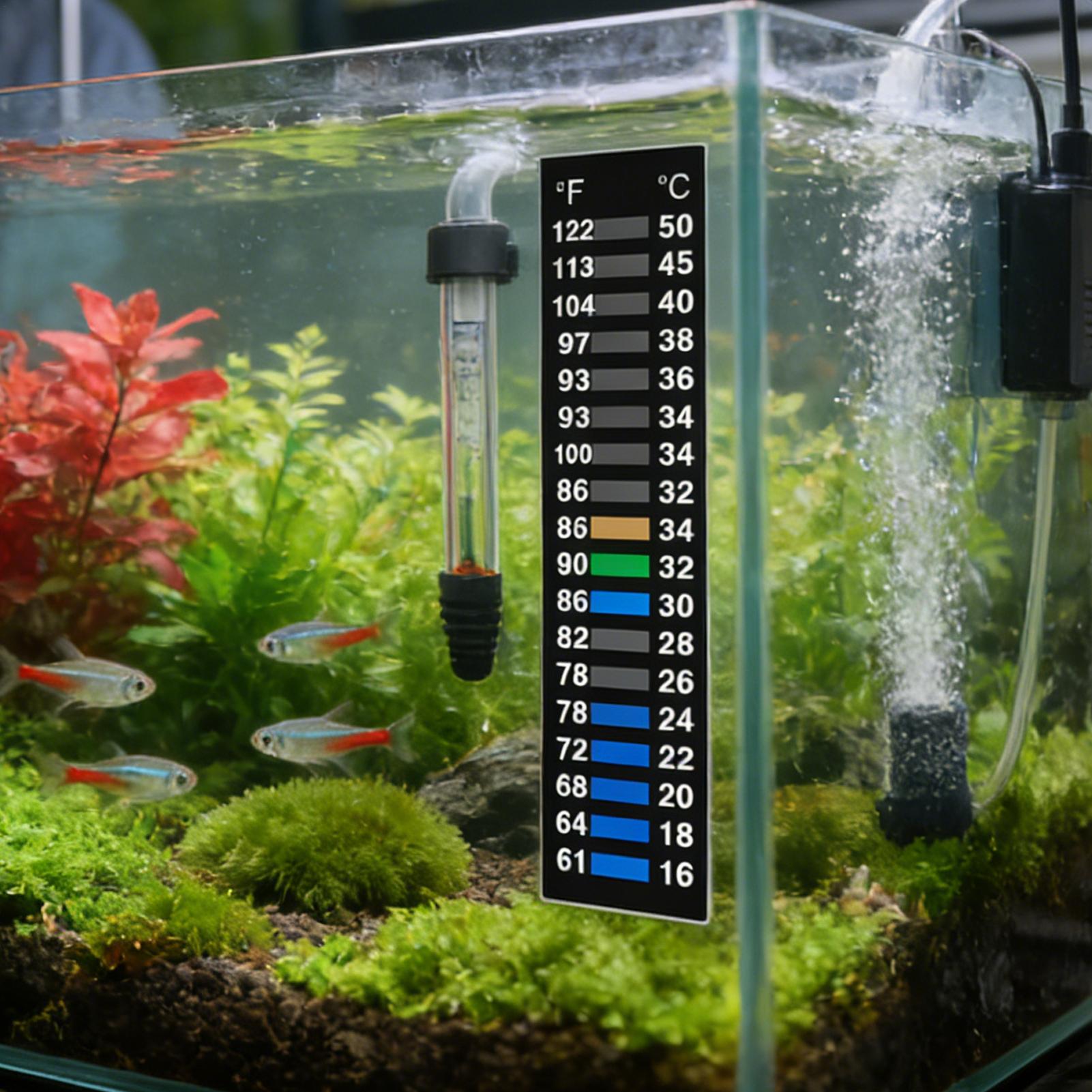 Stick On Temperature Strip LCD - Temperature Strip Thermometer review and price