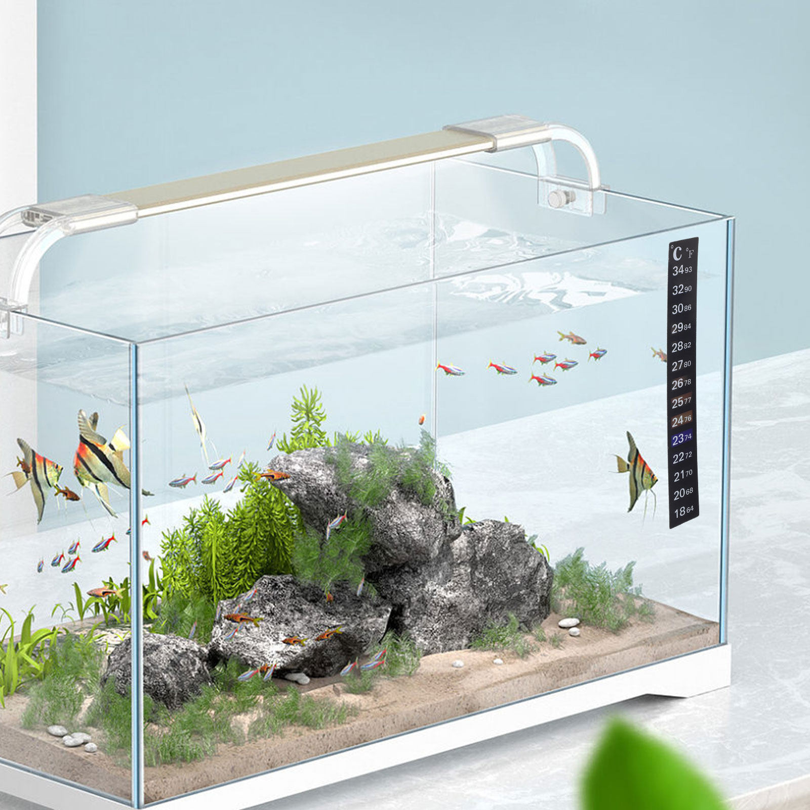 2Pcs Stick Aquarium Thermomete - Temperature Strip Thermometer review and price