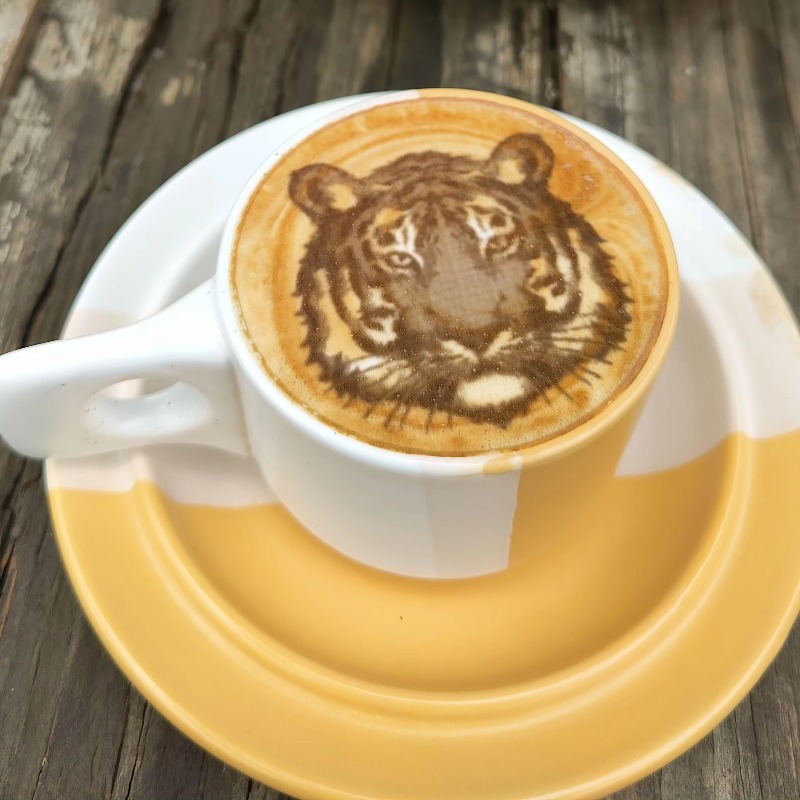 New Trend Commercial Restauran - Coffee Equipment And Supplies review and price